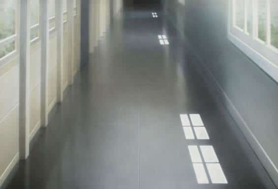 Expositie Elzo Dibbets