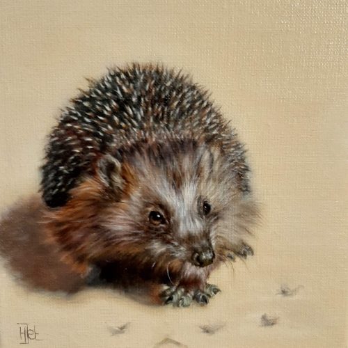 10283611-0C4A-4D71-A5C1-C7BBB4C127C9_1_201_a