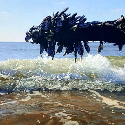 20181216_105258_resized_3