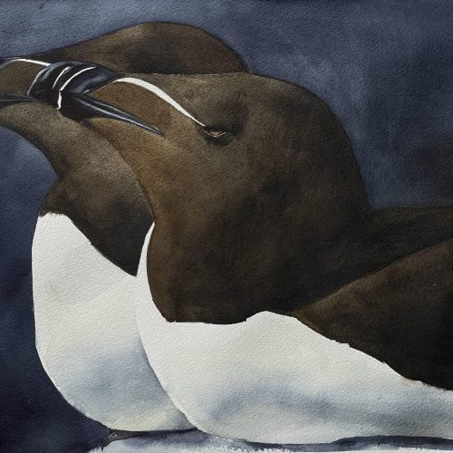 20240130_IMG_1833_249061-©SW