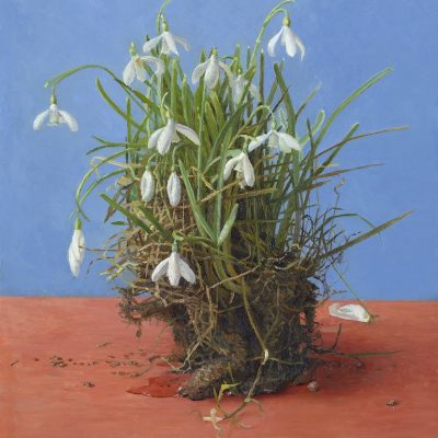 2MG-Kluitje-Sneeuwklokjes-2009-olieverf-op-paneel-37.0-x-28.0-cm-–-14.6-x-11-in-copy