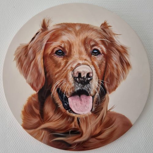 481248567_979106970986809_3686040847934123215_n