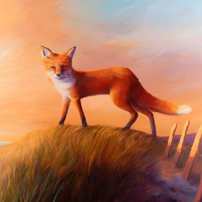 80225-Kijken-met-nieuwsgierigheid-120-x-100-robdonders_art-HR