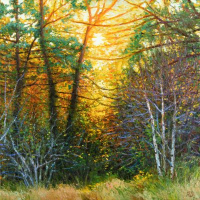 80288-Een-nieuw-pad-40-x-40-robdonders_art-XLR