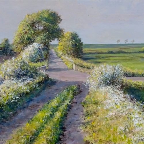 DSC01335-sch-Fluitekruid-ap-30x16-25-5-20