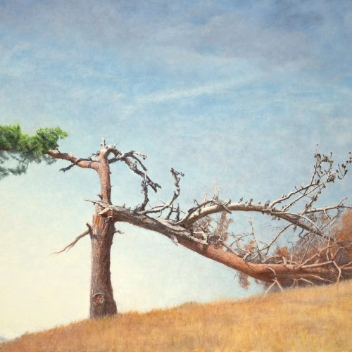 Den-in-Spaans-natuurpark