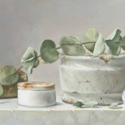 Eucalyptus-en-zalfpotjes