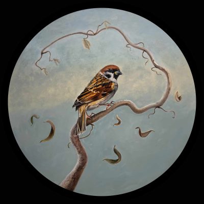 IMG_2024-02-17-202924