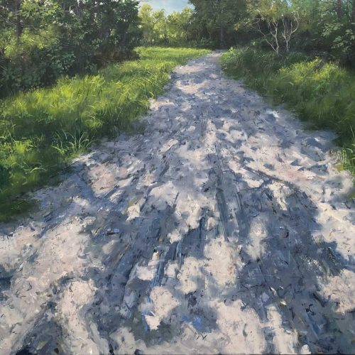 Marein-Konijn-Schaduwspel-olieverf-op-doek-80-x-120-cm-3500-web