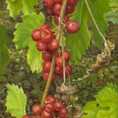 Spekwortel-in-de-wijngaard-2021-olieverf-op-paneel-17-x-27-cm-copy-klein-