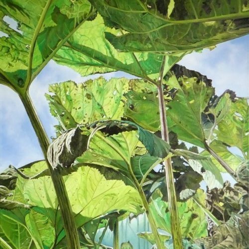 Van-onderen-bekeken-II