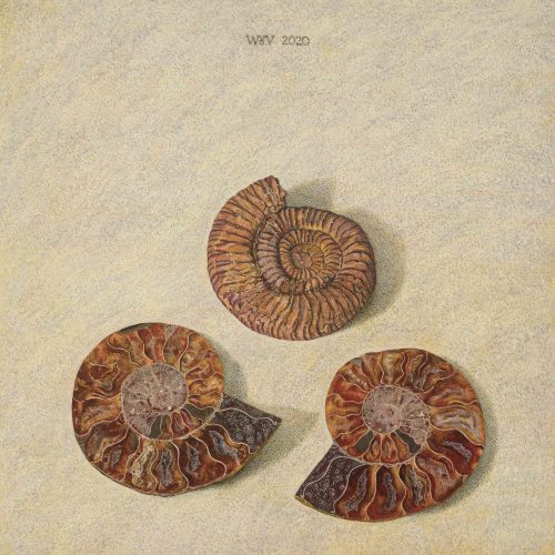 Versteend-leven.tif-8