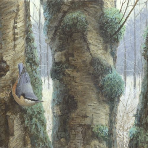 boomklever-wintermorgen-310