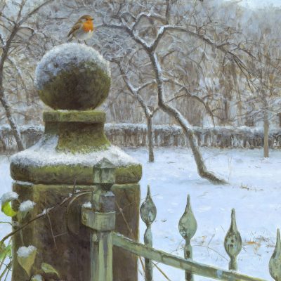 roodborst-en-boomgaard-307