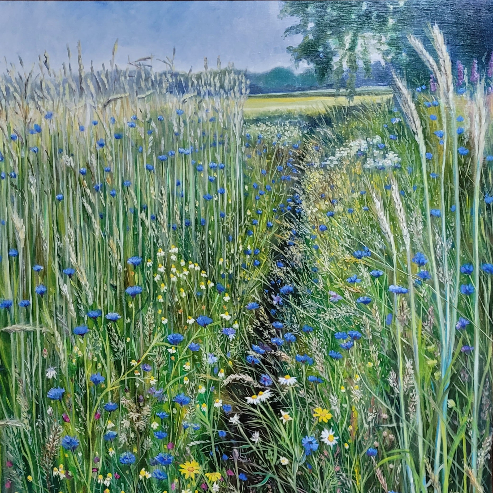 Adriana-Mast_Cornflowers_Oil-on-Canvas_100-x-100-cm-_-2023-1